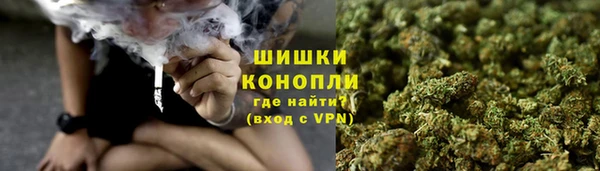 spice Бежецк