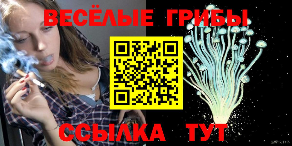 Галлюциногенные грибы мухоморы Каменск-Шахтинский