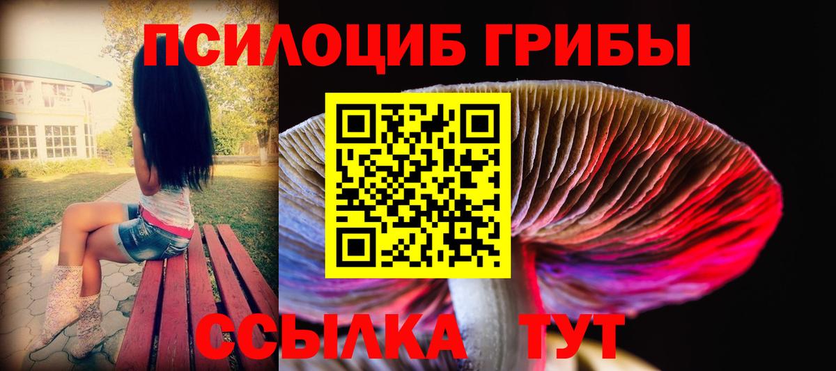Галлюциногенные грибы Psilocybine cubensis  Вход с VPN  Галлюциногенные грибы Magic Shrooms  Каменск-Шахтинский 