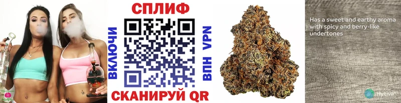 Канабис семена Каменск-Шахтинский
