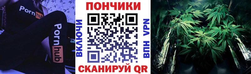 мориарти официальный сайт  Каменск-Шахтинский  Канабис Amnesia  где можно купить наркотик  гидра ССЫЛКА 